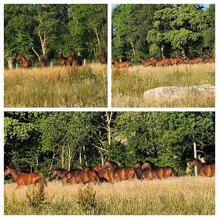 Les Naturelles Saint-Aubin-de-Locquenay Exterior foto
